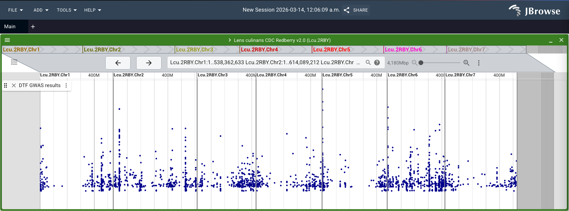 A JBrowse track of significant GWAS results presented as a Manhattan plot