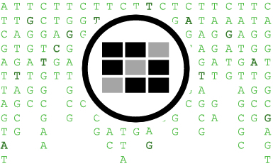 Genotype Matrix Thumbnail