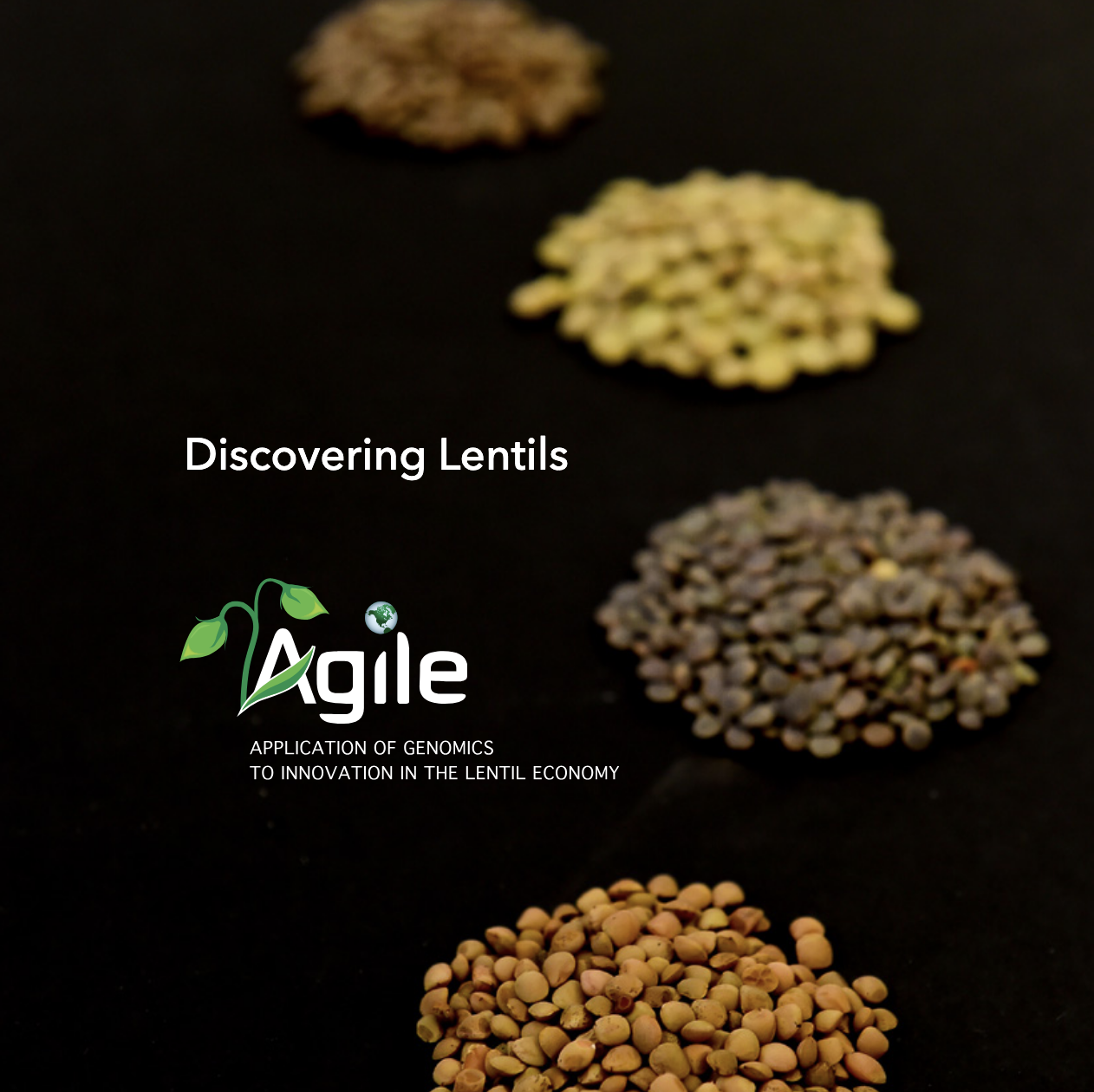 Cover of the AGILE Brochure