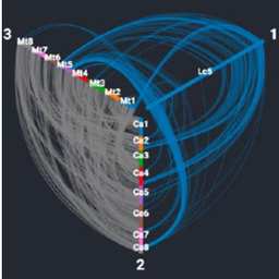 Synvisio plot showing synteny between 3 Lens species.